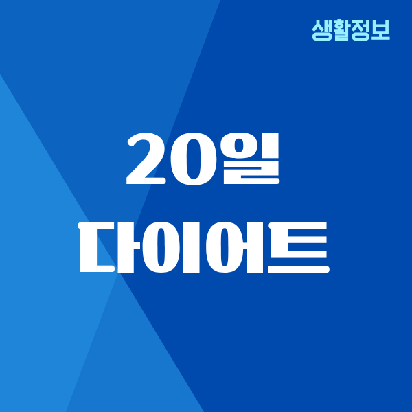 20일 다이어트, 제가 직접 해보고 느낀 진짜 이야기