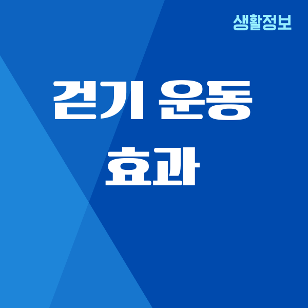 걷기 운동 효과, 3개월 동안 진짜로 내 몸에 일어난 변화