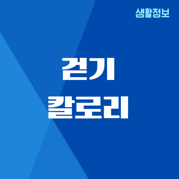 걷기 칼로리, 40대에 실감한 진짜 효과