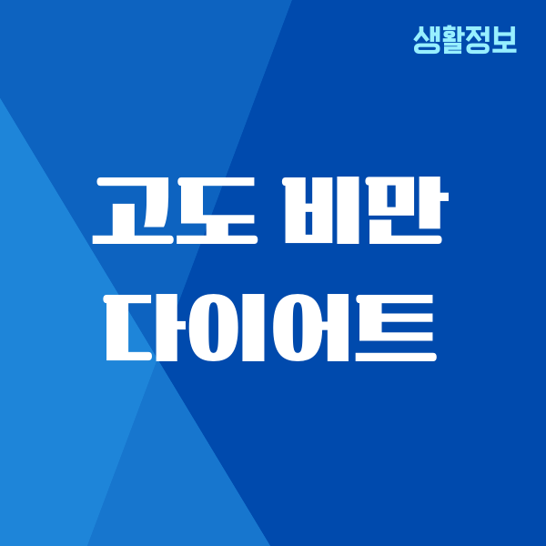 고도 비만 다이어트, 체념했던 나에게 생긴 기적 같은 변화