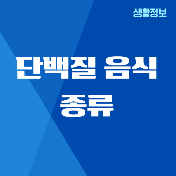 단백질 음식 종류, 내 몸이 달라진 이유