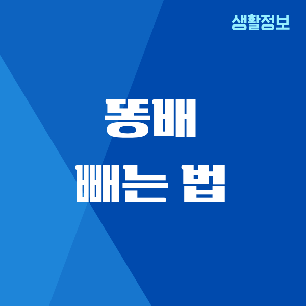 똥배 빼는 법, 제가 해본 진짜 방법 공유해요